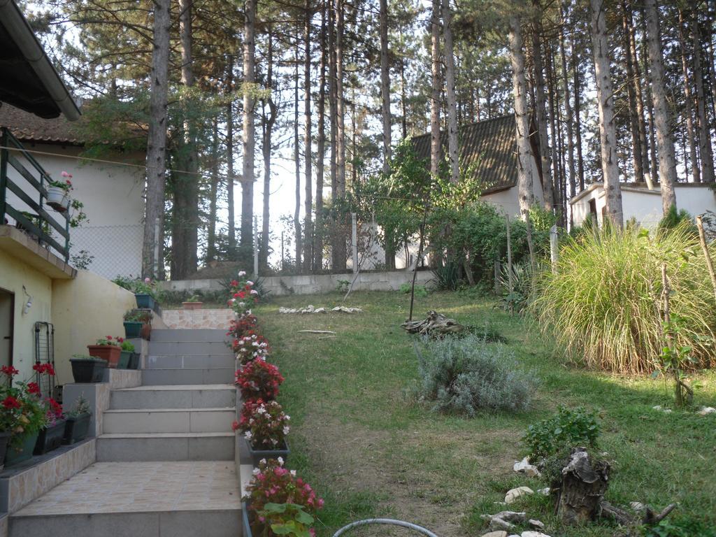 Guest House Keserovic Vinci Esterno foto