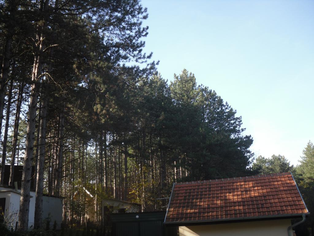 Guest House Keserovic Vinci Esterno foto