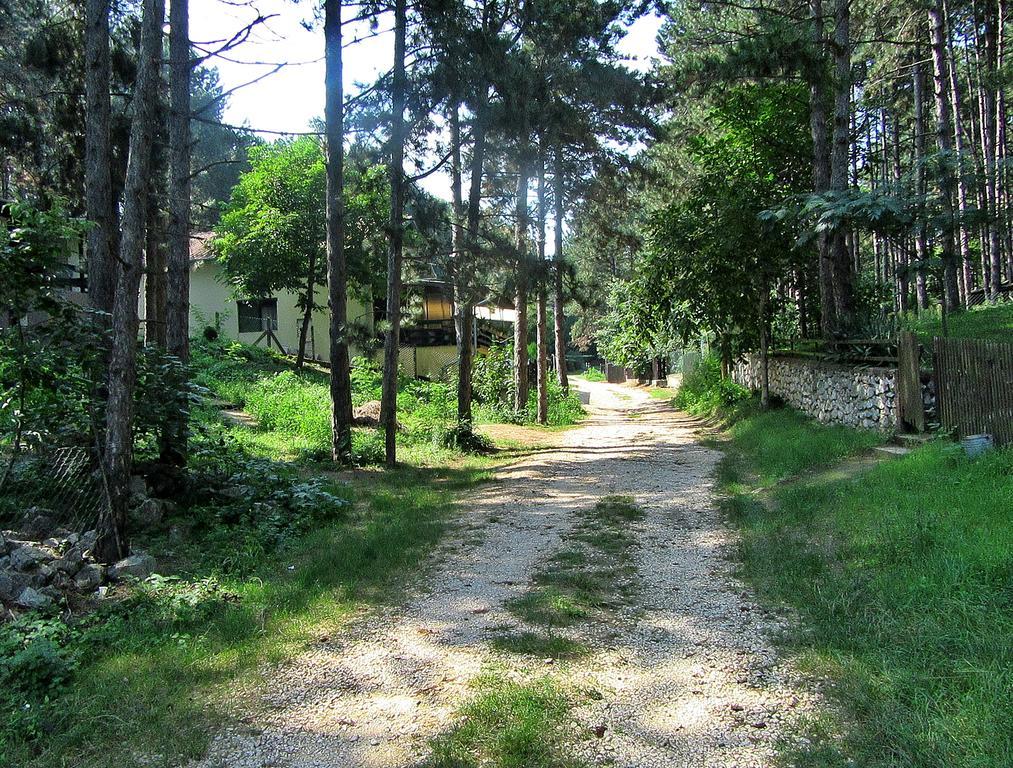 Guest House Keserovic Vinci Esterno foto