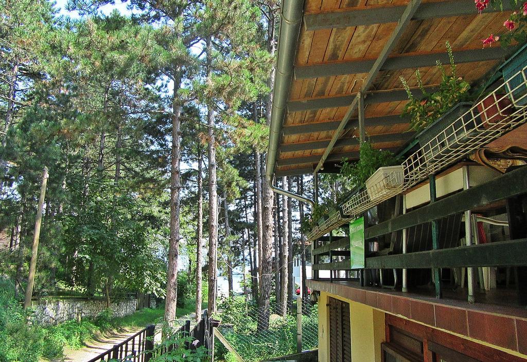 Guest House Keserovic Vinci Esterno foto