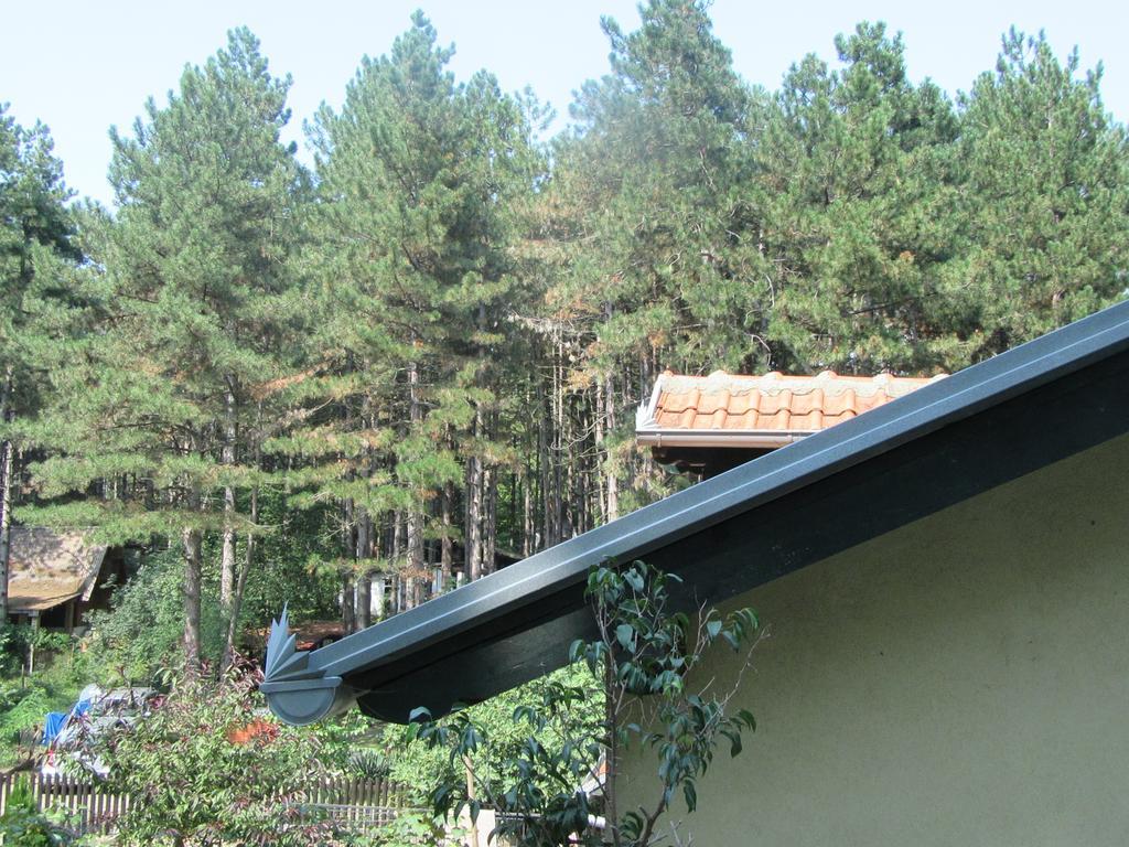 Guest House Keserovic Vinci Esterno foto