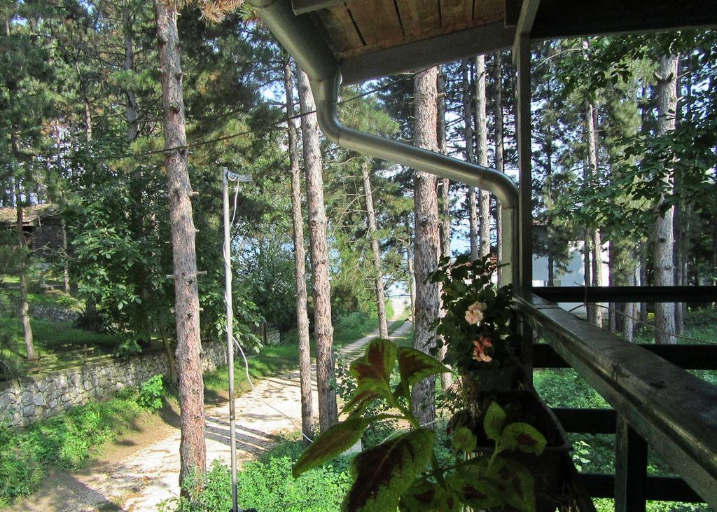 Guest House Keserovic Vinci Esterno foto