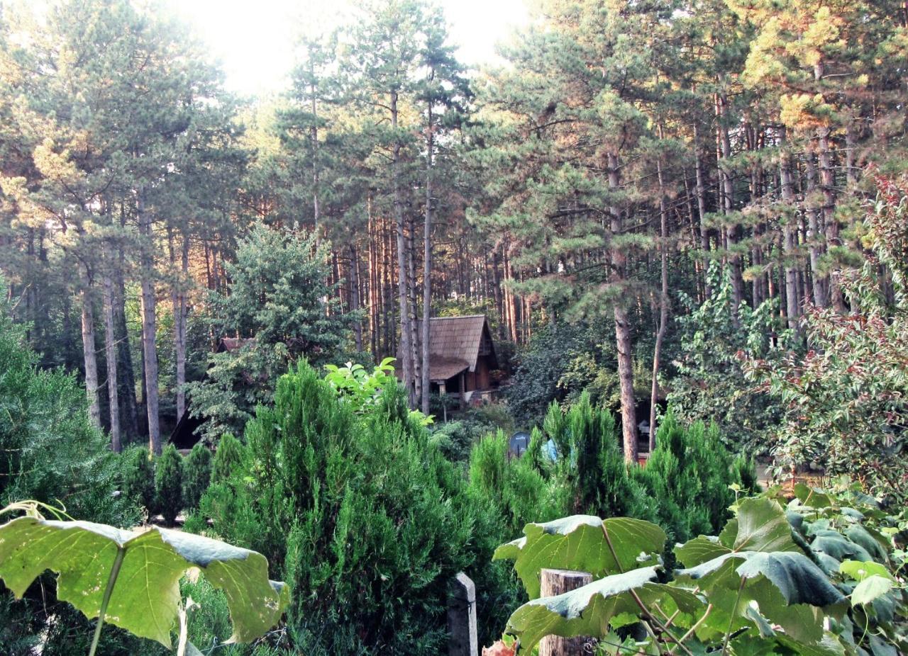 Guest House Keserovic Vinci Esterno foto