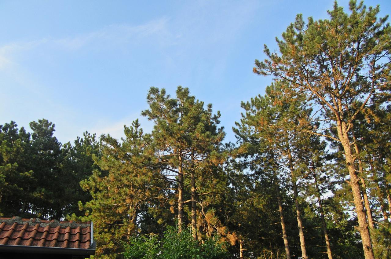 Guest House Keserovic Vinci Esterno foto