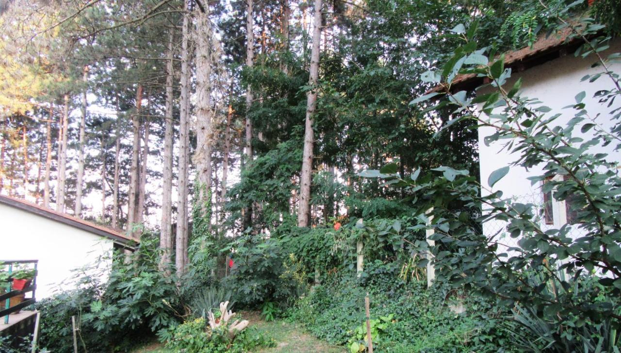 Guest House Keserovic Vinci Esterno foto