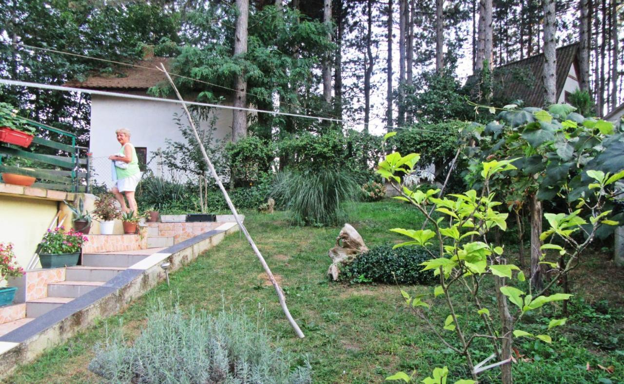 Guest House Keserovic Vinci Esterno foto