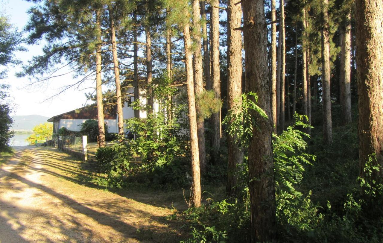 Guest House Keserovic Vinci Esterno foto
